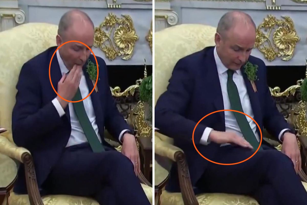 İrlanda Başbakanı Micheal Martin'in Beyaz Saray'daki talihsiz anları: Kameraları unuttu, pantolonundaki le...