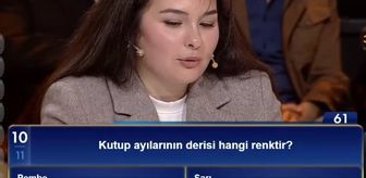 Kutup ayılarının derisi hangi renktir?