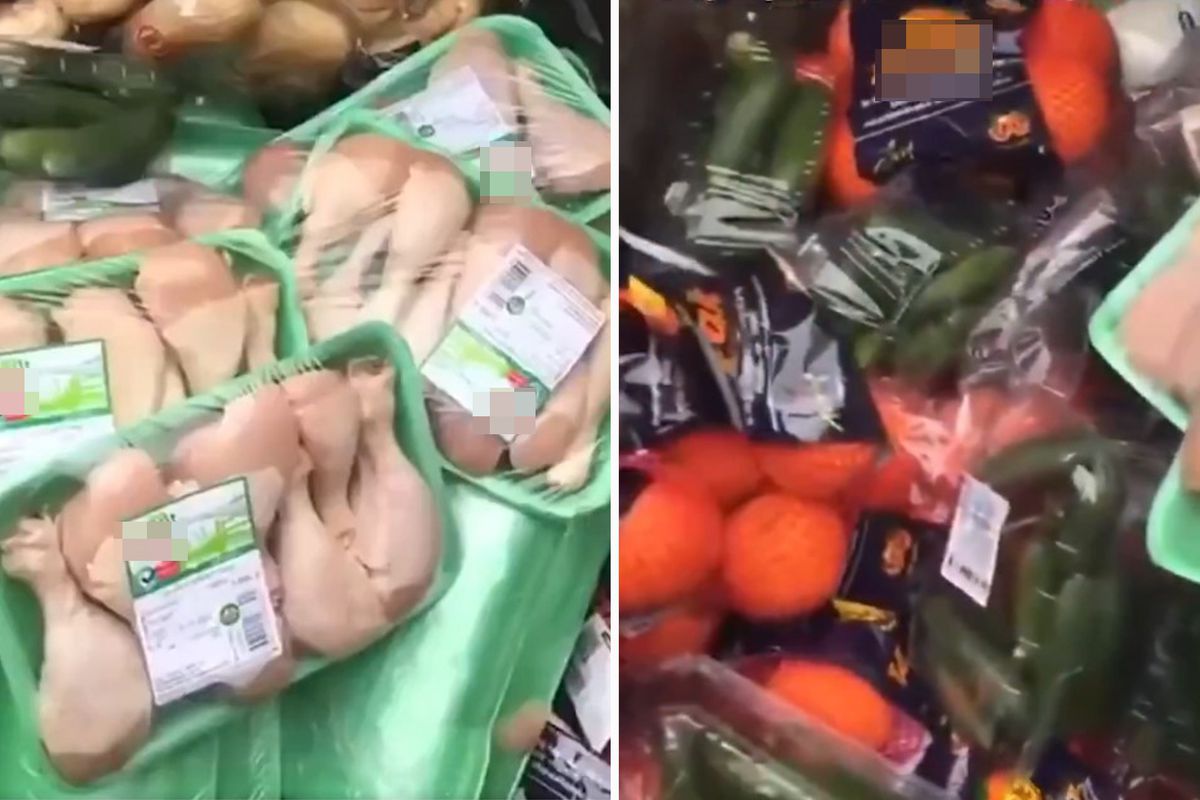 Paket paket tavuklar çöğe gitti
