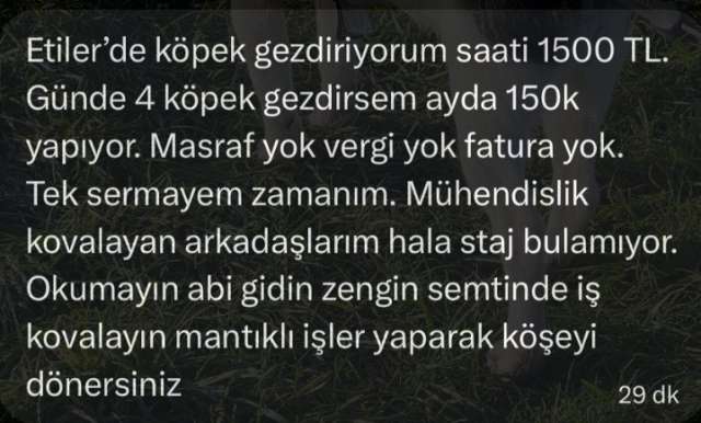 zengin semtinde yaptigi isten 150 bin lira 19670905 4183 m