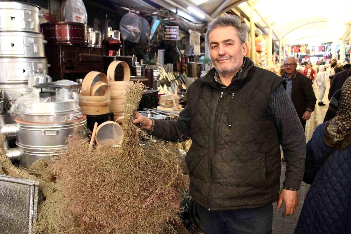 Çalı süpürgesi teknolojiye direniyor
