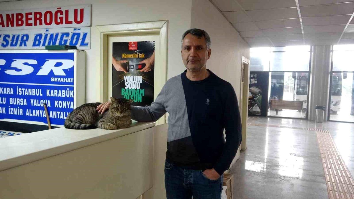 Depremde kaybolan ve 44 gün sonra 'Kadir' diyerek bulabildiği otogarın maskotu kedisine gözü gibi bakıyor