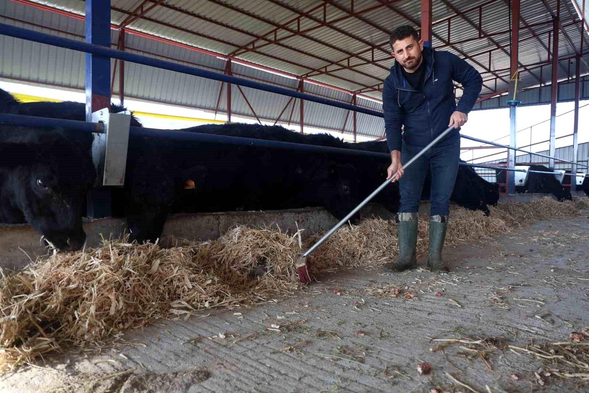 Ziraat mühendisliğini bırakarak devlet desteğiyle kurduğu çiftlikte hayvancılığa başladı