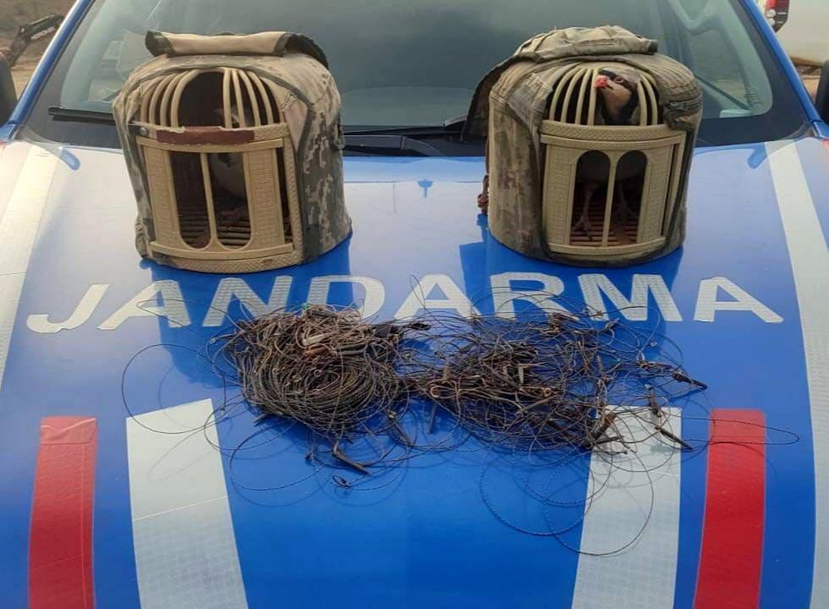 Kırşehir'de kaçak keklik avcıları yakalandı