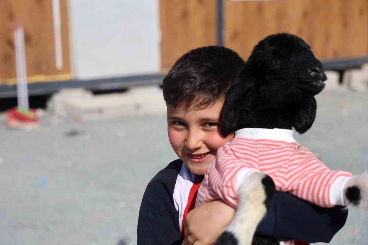 Annesi doğumda telef olan 'Boncuk' kuzu, elbisesi ve biberonuyla ilgi odağı oldu