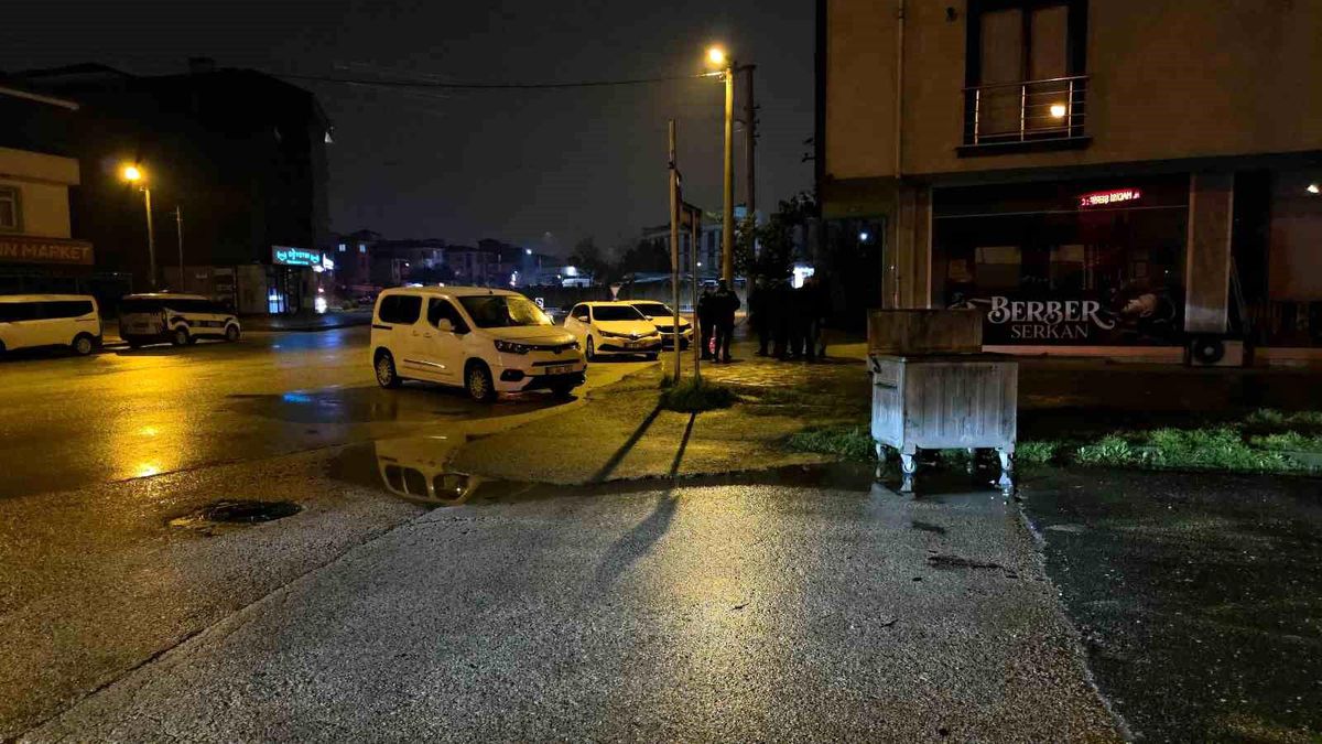 Cengiz Efe hayata döndürüldü