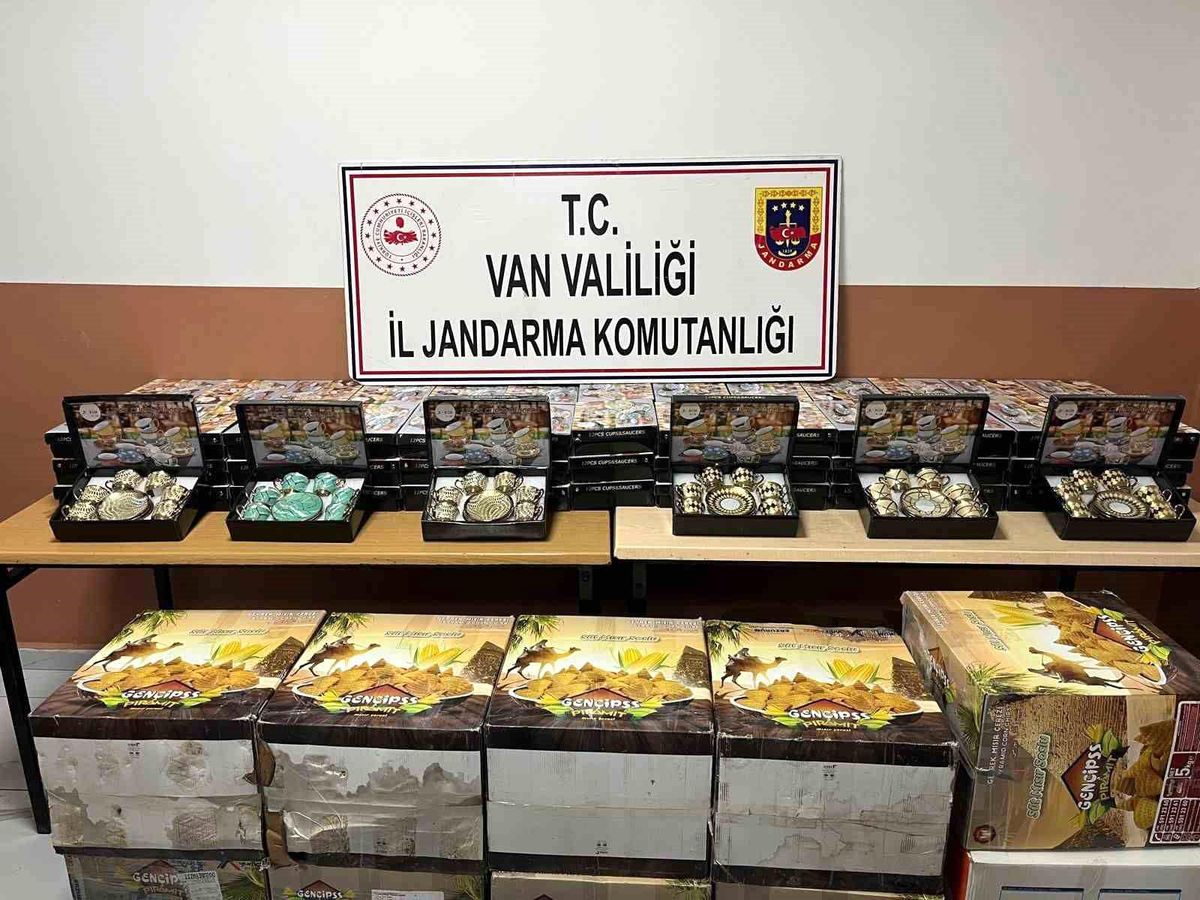 Van'da gümrük kaçakçılığı operasyonu