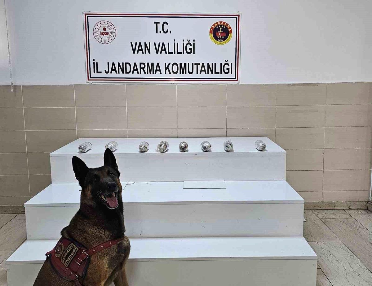 Van'da uyuşturucu madde ele geçirildi