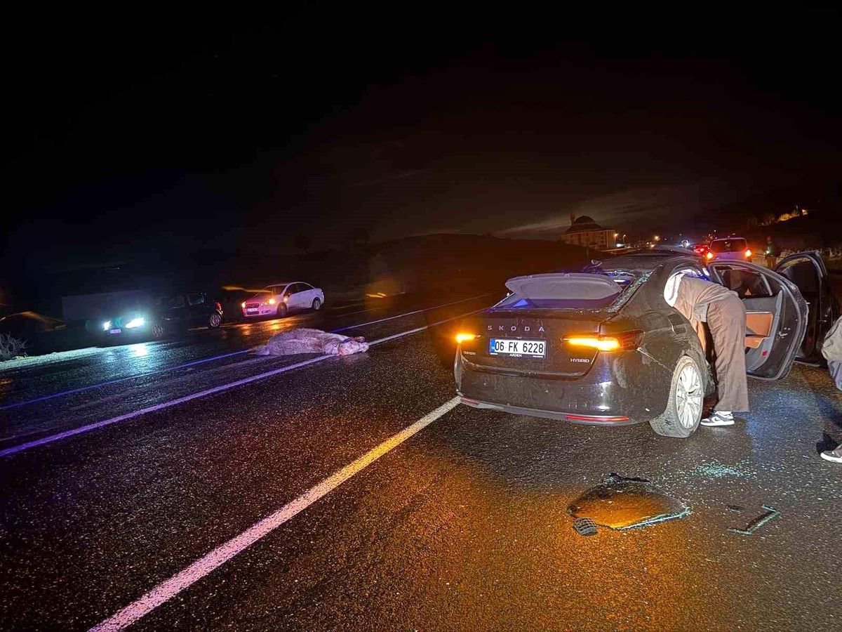 Bingöl'de otomobil ata çarptı: 4 yaralı