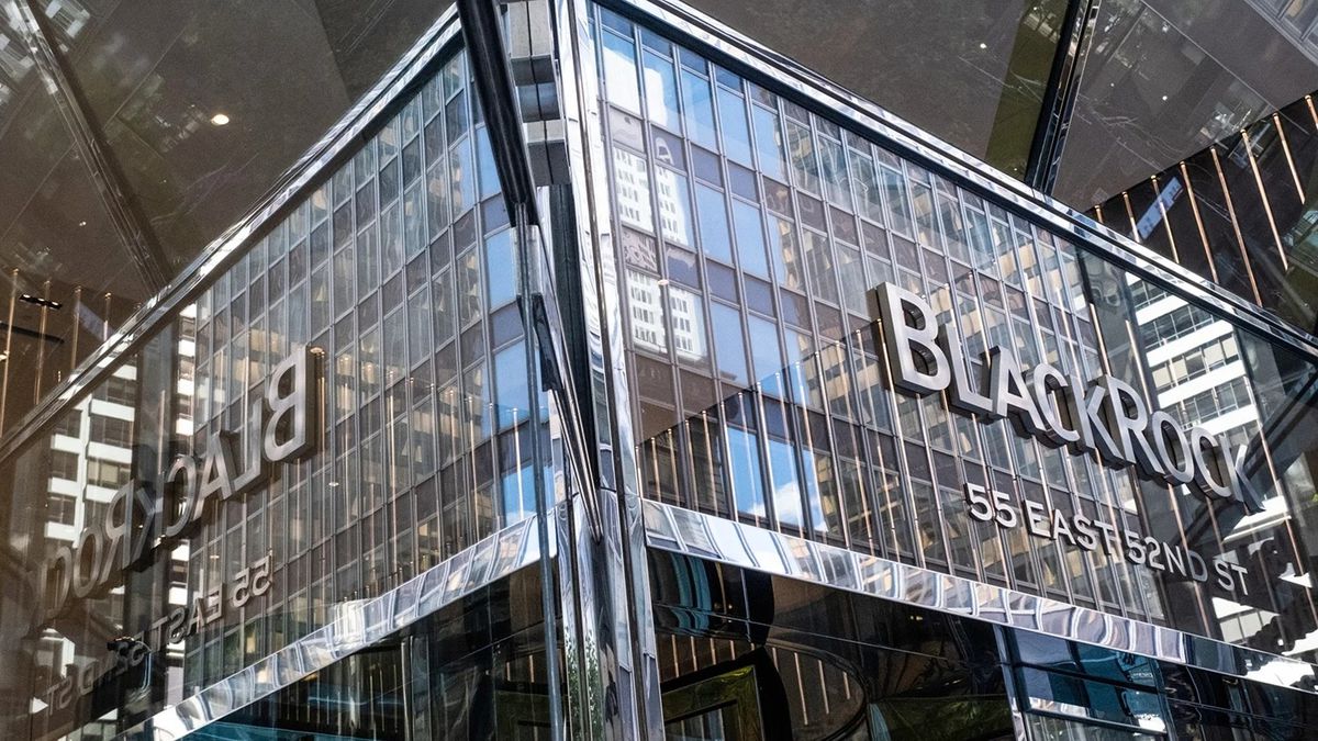 BlackRock CEO'sundan tokenizasyon çağrısı