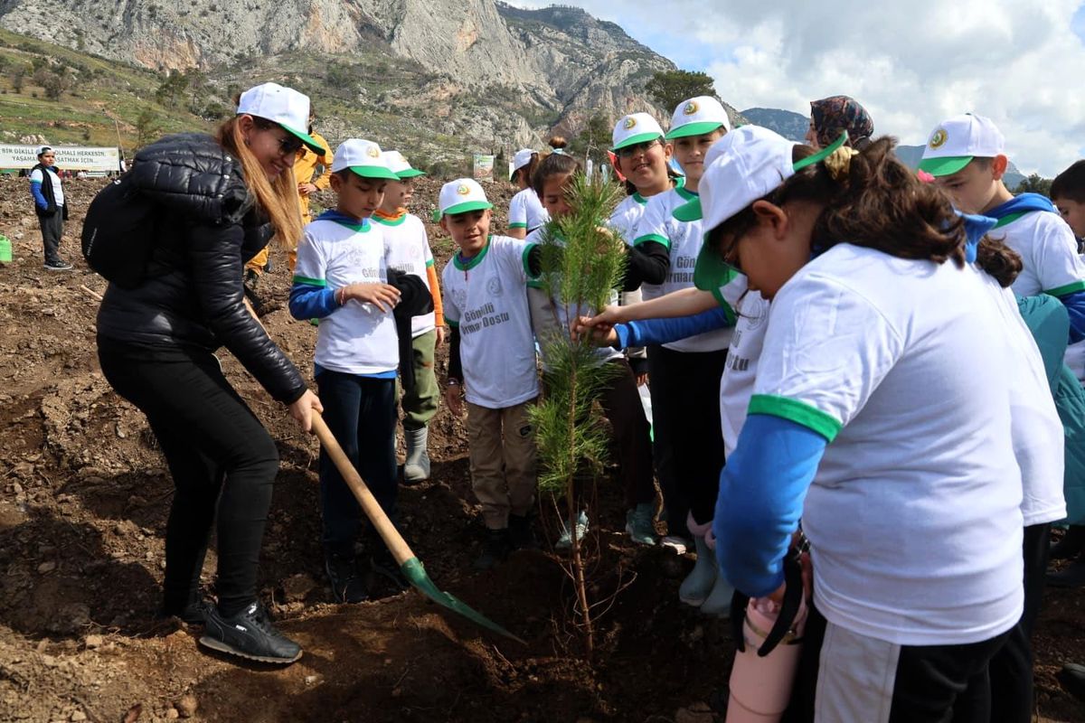 Akyaka'da yanan alan fidanlarla yeşeriyor