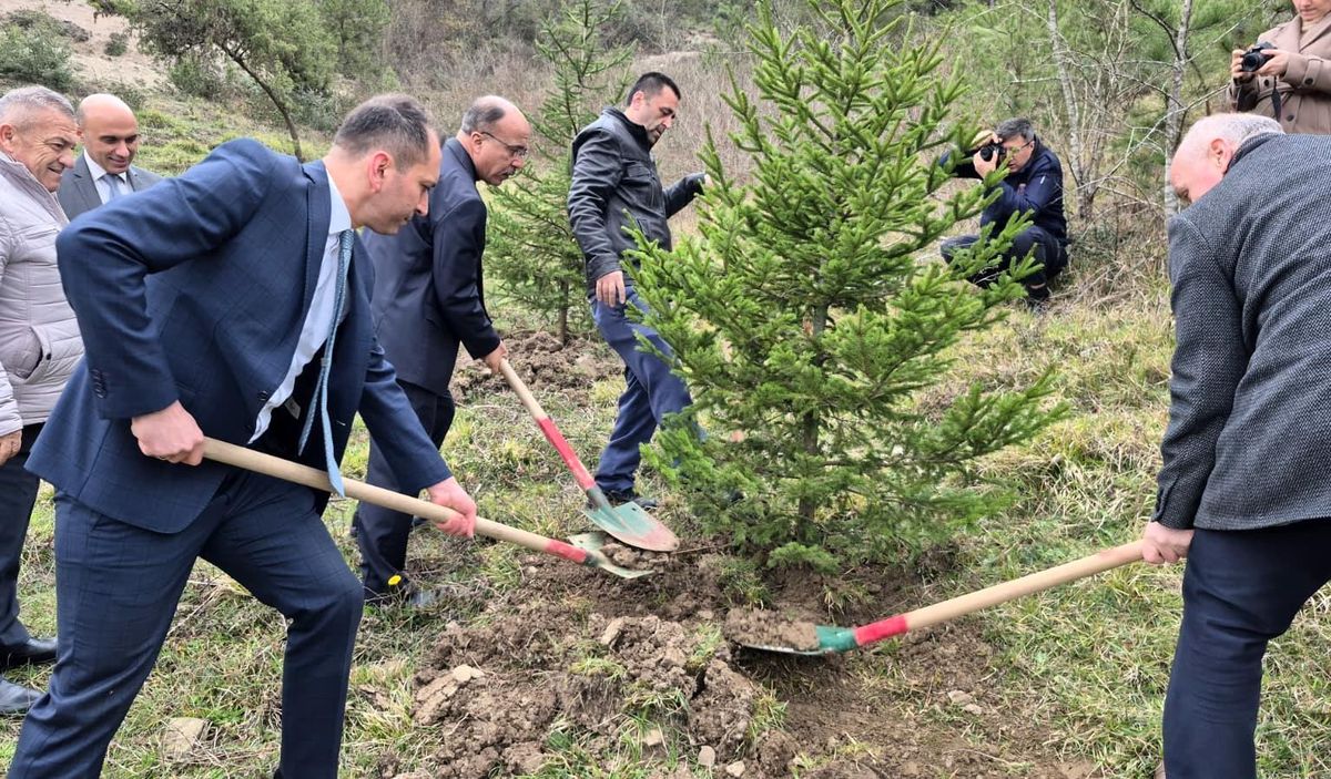 Bartın'da hükümlüler fidan dikti