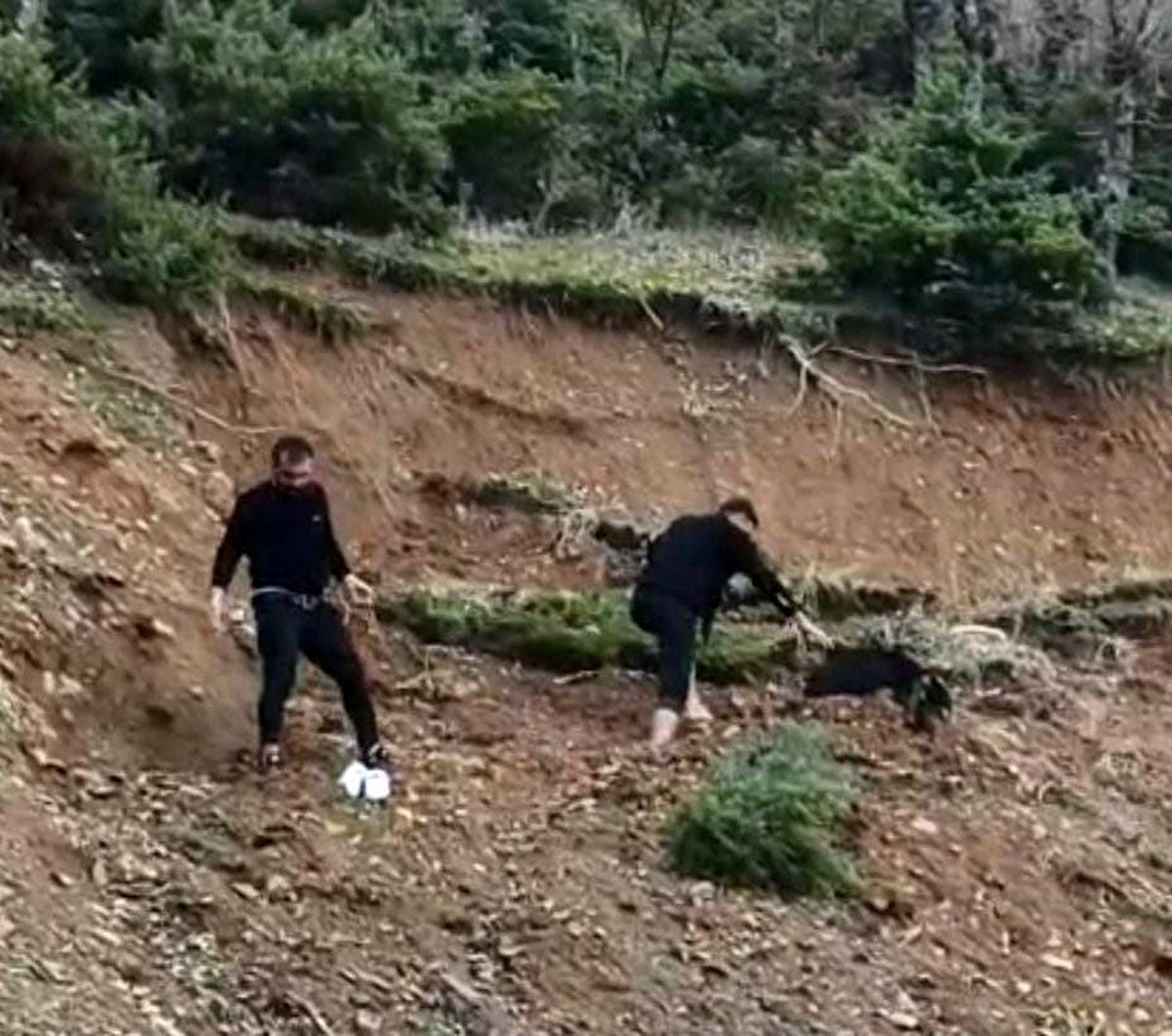 Çamura saplanan keçi son anda kurtarıldı