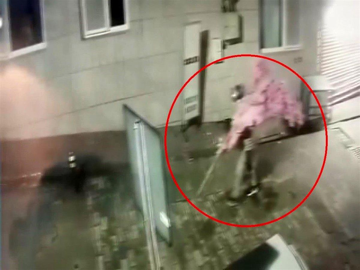'Bir kafeden daha fazlası' yazısını fark etti, ağacı sırtlayıp gitti O anlar kamerada