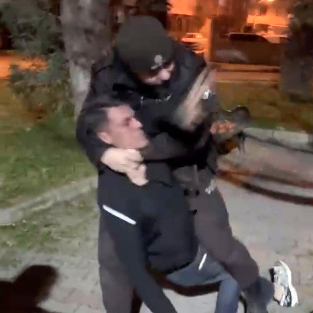 Parkta taşkınlık çıkardılar, görevli bekçilere direndiler