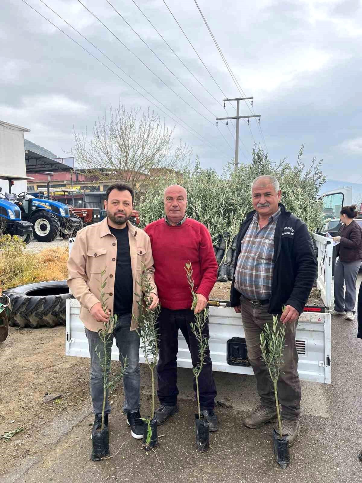 Bayındır'da üreticilere zeytin fidanı desteği