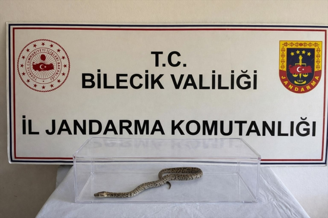 bilecik te jandarma operasyonunda nesli tukenme 19694371 9440 m