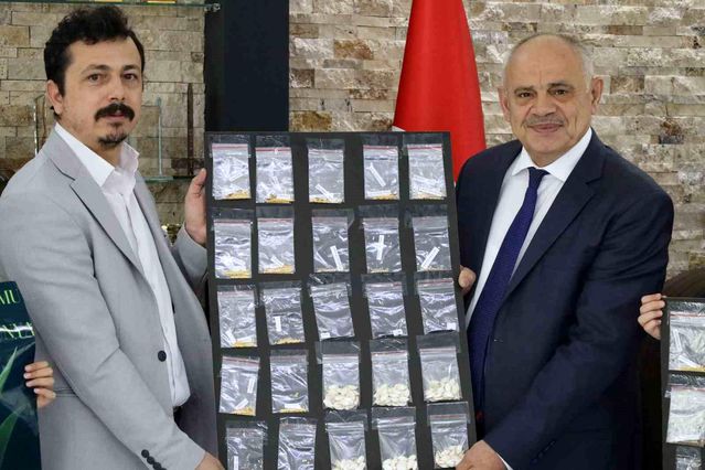Yahyalı’da “Ata Tohumu” Projesine anlamlı destek
