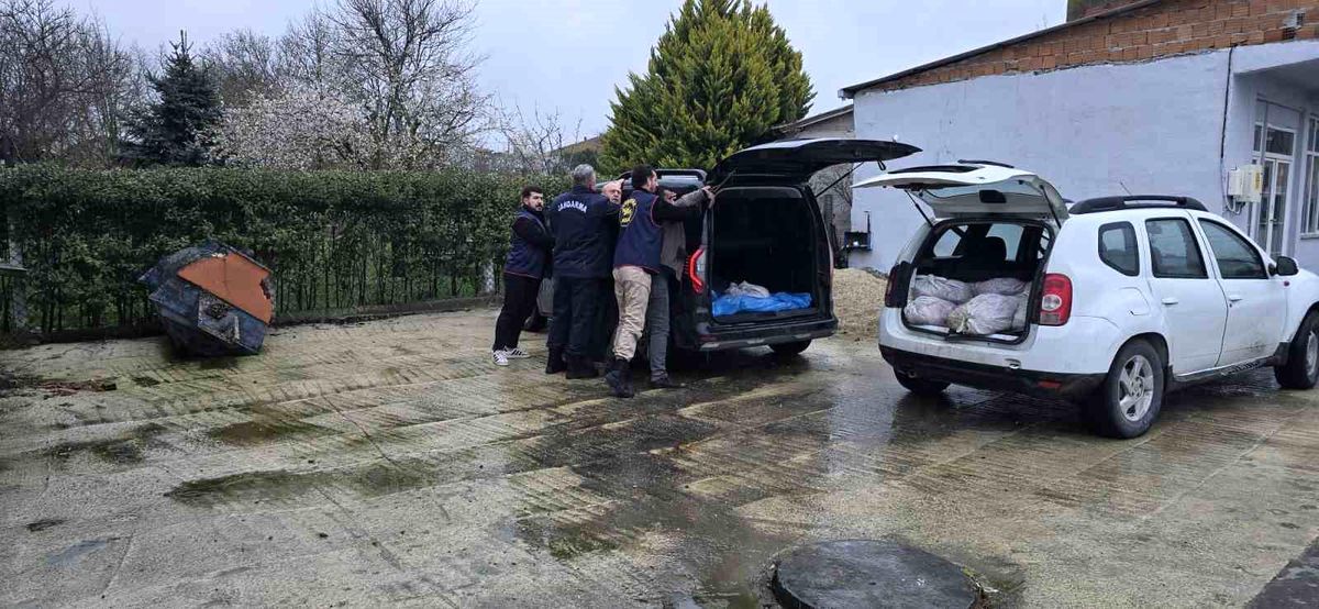 Silivri'de satışa hazır 306 at eti yakalandı