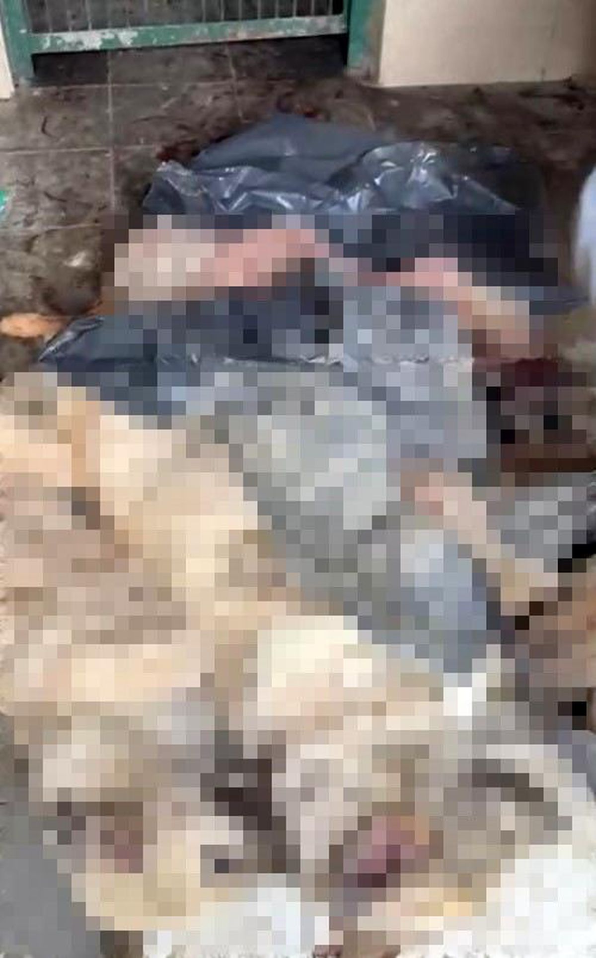Bozüyük'teki barınak skandalına bir yenisi daha eklendi