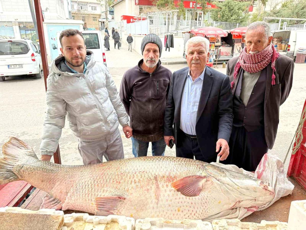 Diyarbakır'da 120 kiloluk turna balığı görenleri hayrete düşürdü