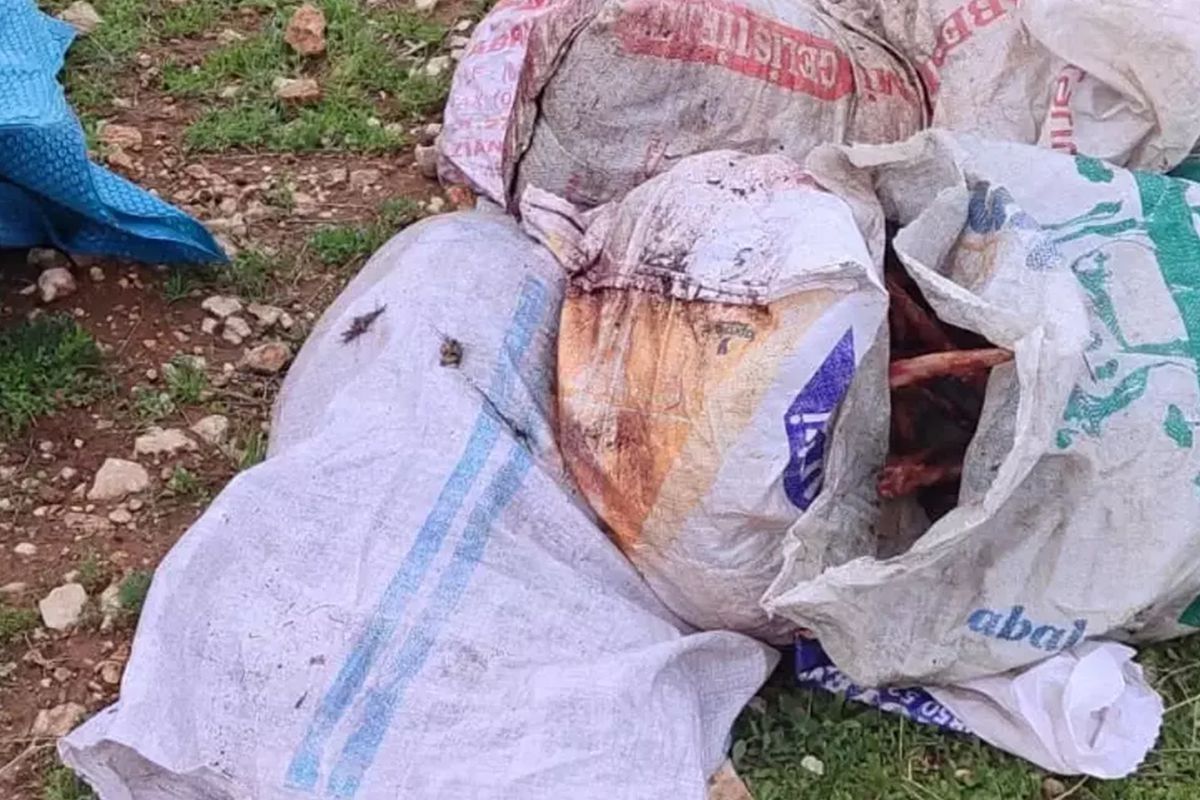 Şanlıurfa'da çuvallarda kesilmiş at başı bulundu