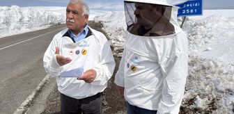 Arıcılardan Ardahan-Ardanuç kara yolunun kışın açık tutulması talebi