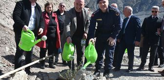 Artvin'de 450 zeytin fidanı toprakla buluştu