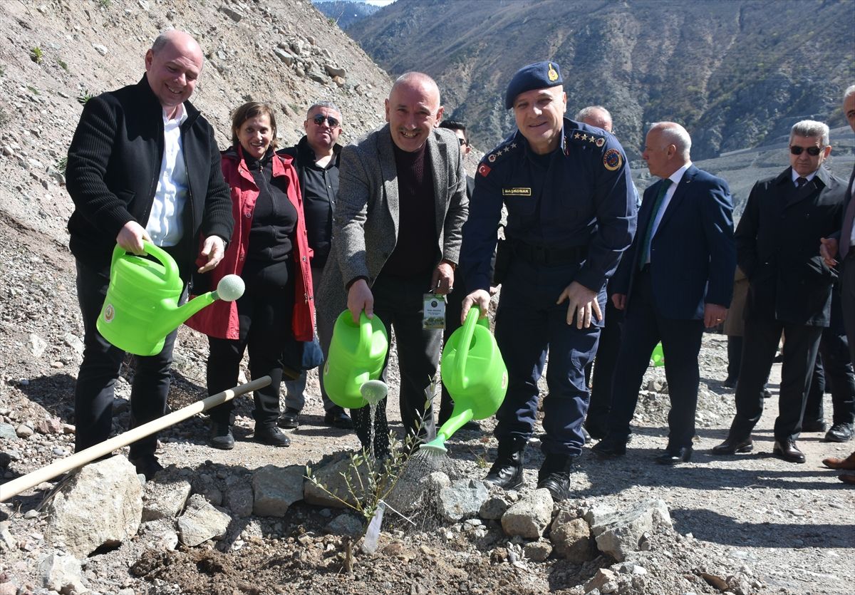 Artvin'de 450 zeytin fidanı toprakla buluştu
