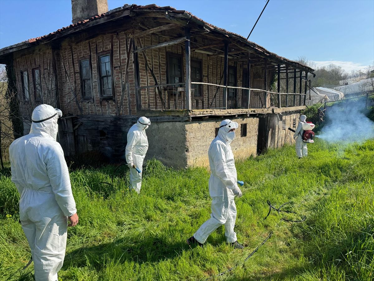 Bartın'da kahverengi kokarcayla mücadelede 16 bin metruk yapı ilaçlandı