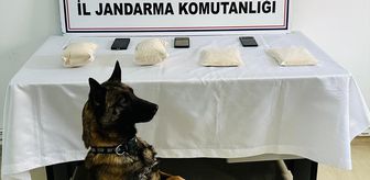 Batman'da uyuşturucu operasyonunda yakalanan 1 şüpheli tutuklandı