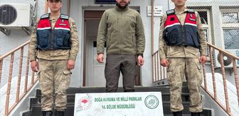Bitlis'te yasa dışı av yapan 2 kişiye ceza kesildi