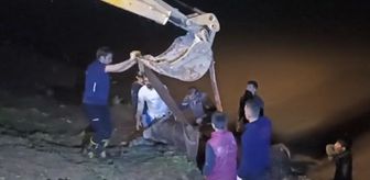 Cizre'de nehre düşen inek iş makinesiyle kurtarıldı