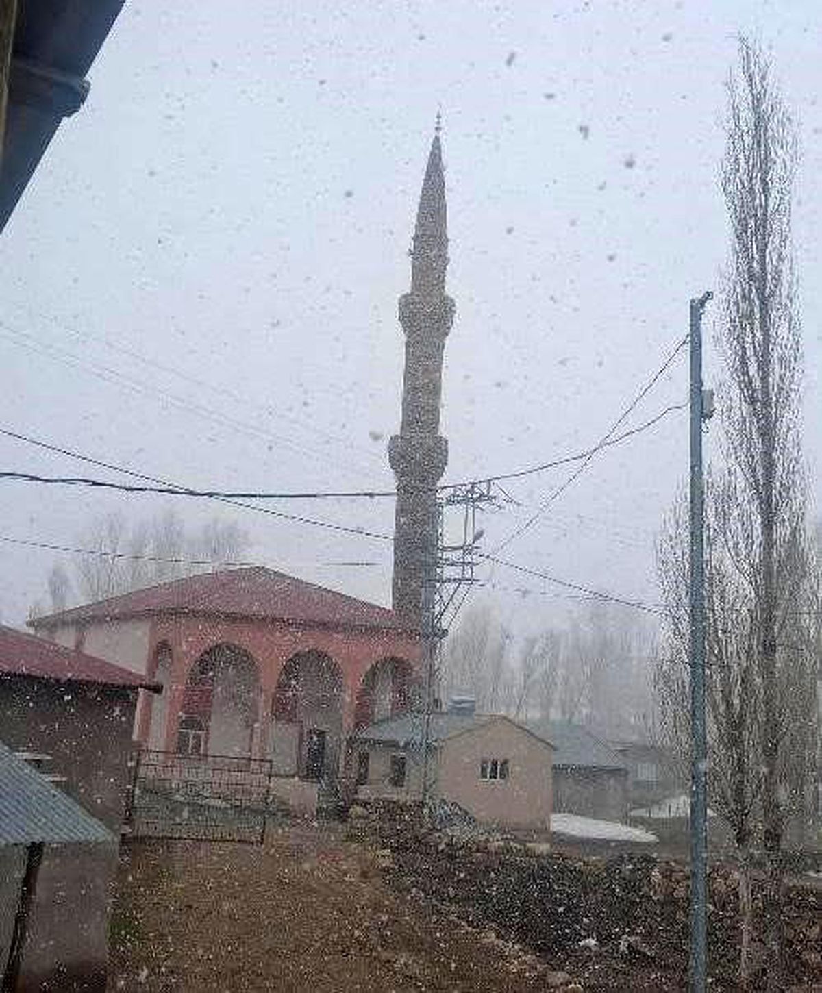 Diyadin'de nisan karı