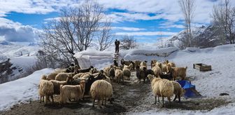 Hakkari'nin bir tarafında bahar diğer tarafında kış yaşanıyor