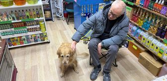Hastalığına tanı konulamayan köpek sevginin gücüyle hayata bağlandı