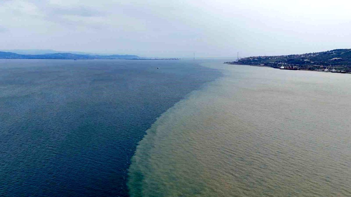 İzmit Körfezi iki renk oldu: Derenin taşıdığı çamur denizin rengini değiştirdi