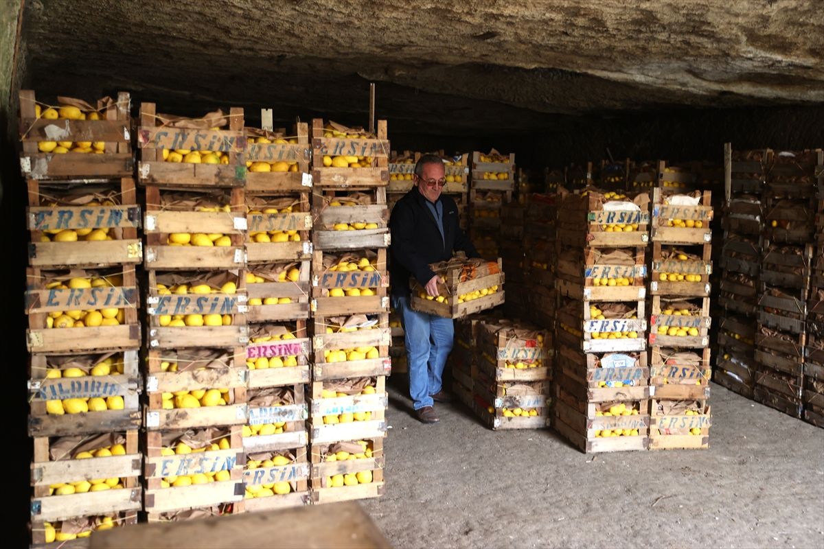 Kapadokya'daki mağaralar "yatak limon"a kıvam ve aroma kazandırıyor