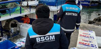 Kırklareli'nde su ürünleri denetimi gerçekleştirildi