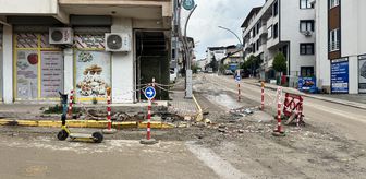Kocaeli'de kamyonun çarptığı yaya hayatını kaybetti