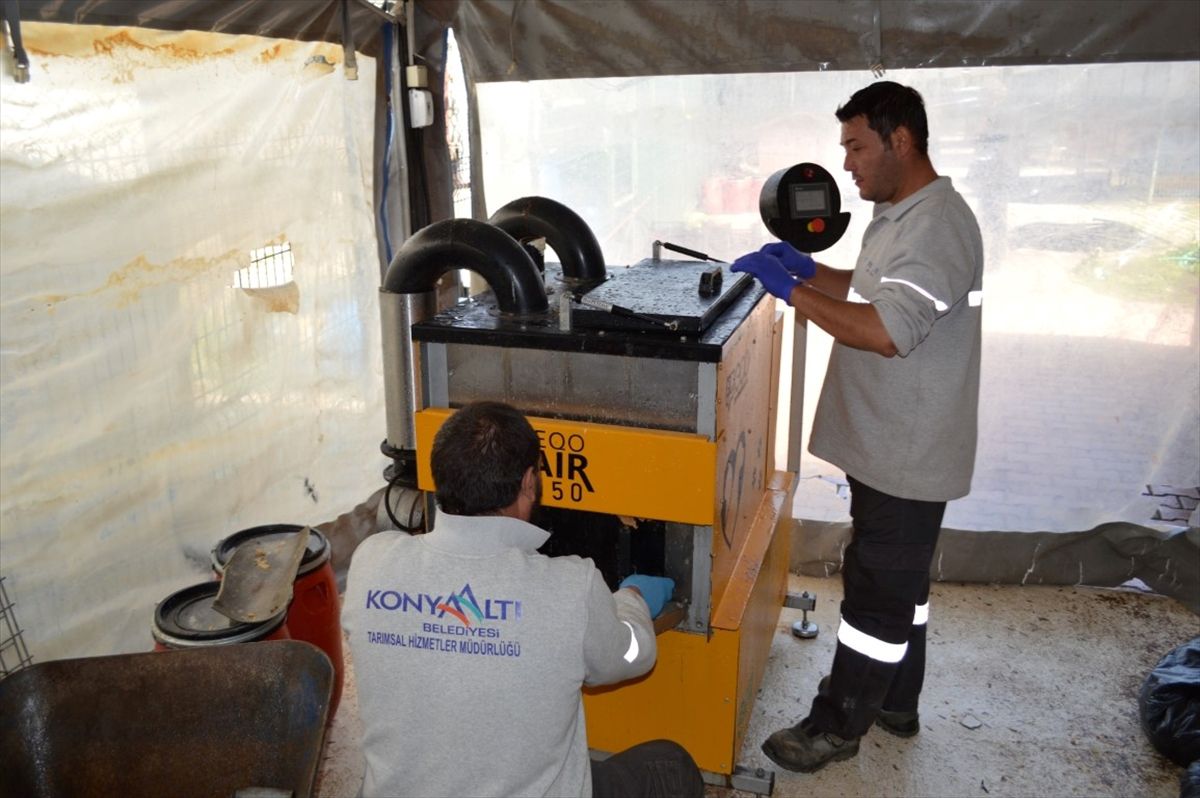 Konyaaltı Belediyesi çöpe gidecek yiyecekleri mamaya dönüştürüyor