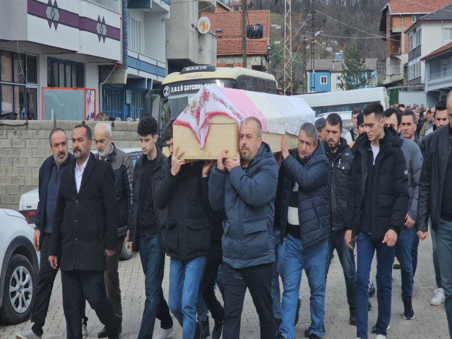 kucuk elanin olumunde aileyi b 19706532 6895 4 m