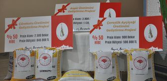 Kütahya'da üreticilere tohum desteği verildi