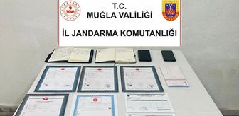 Muğla'da kaçakçılık operasyonlarında yakalanan 4 şüpheli tutuklandı