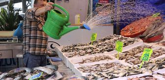 Rize'de istavritin kilogramı 200 liradan satılıyor