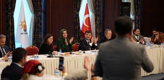 Romanlara yönelik projeler hayata geçiyor