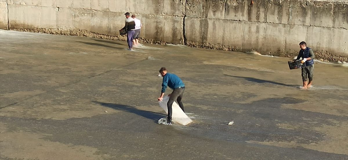 Sandıklı'da barajın taşan savağında vatandaşlar balık topladı