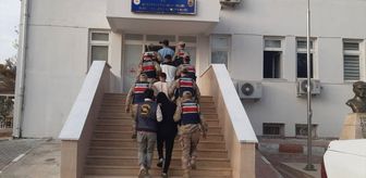 Şanlıurfa'da göçmen kaçakçılığı operasyonunda 18 şüpheli yakalandı