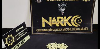 Şırnak'ta uyuşturucu operasyonunda 2 şüpheli yakalandı