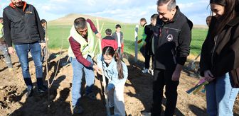 Sungurlu'da Çocuk ve Genç Meclisi üyeleri fidan dikti